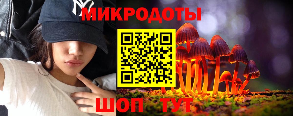 Псилоцибиновые грибы Magic Shrooms  Вход с VPN  Улан-Удэ  Галлюциногенные грибы Psilocybe 